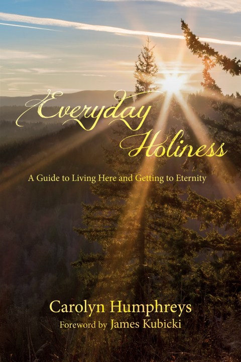 Cover image for book Everyday Holiness