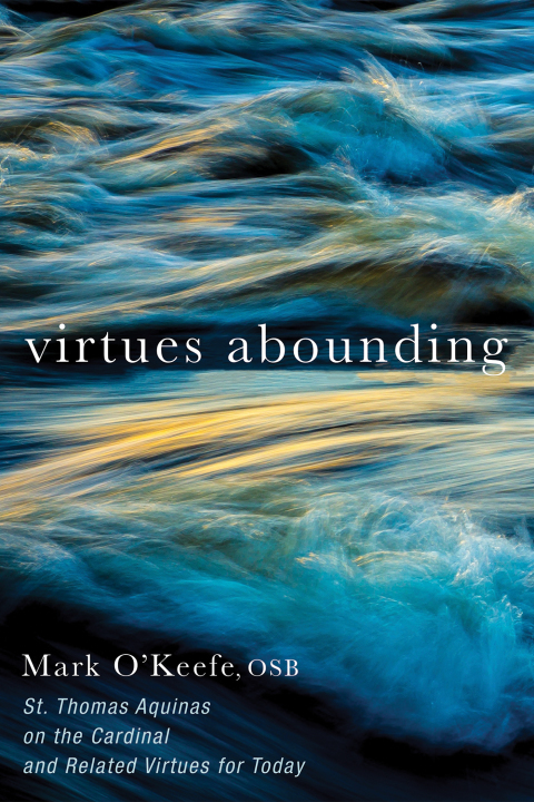 Cover image for book Virtues Abounding