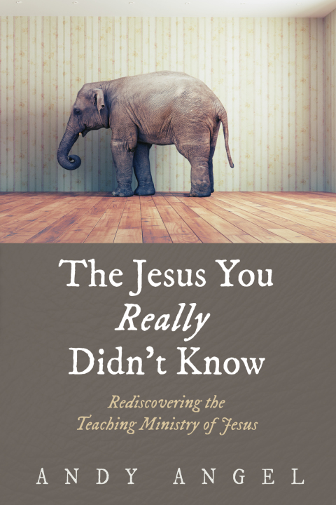 Cover image for book The Jesus You Really Didn’t Know