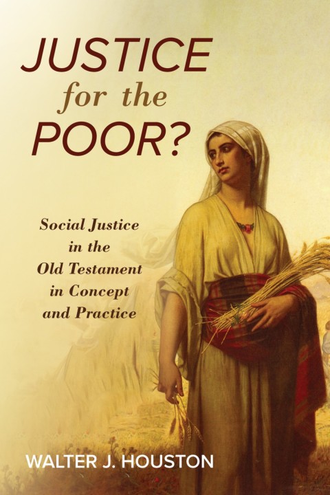 Cover image for book Justice for the Poor?