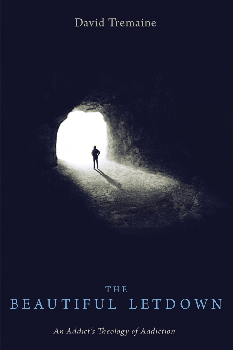 Cover image for book The Beautiful Letdown