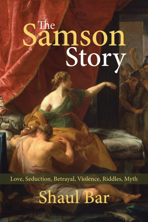 Cover image for book The Samson Story