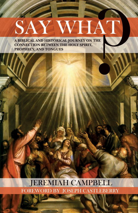 Cover image for book Say What?