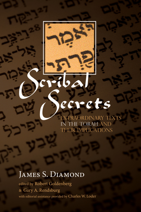 Cover image for book Scribal Secrets