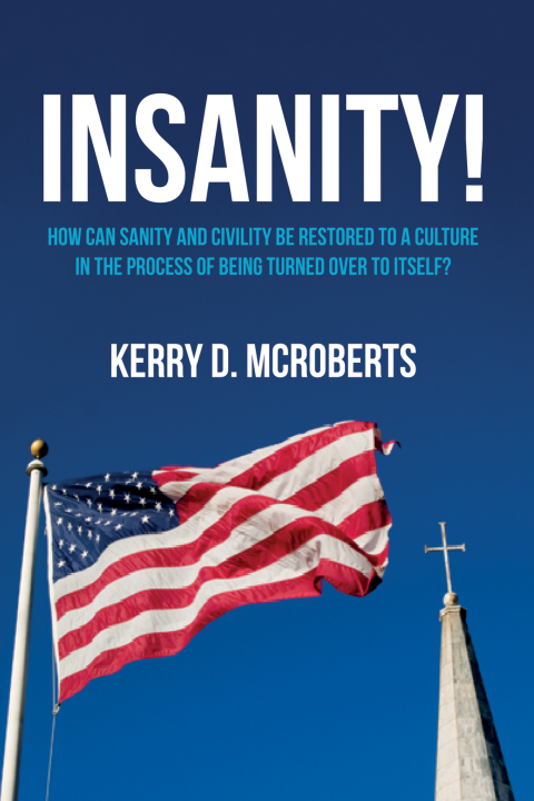 Cover image for book Insanity!