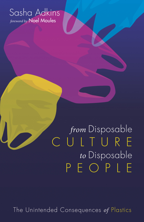 Cover image for book From Disposable Culture to Disposable People