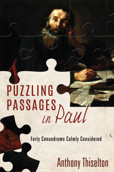 Cover image for book Puzzling Passages in Paul