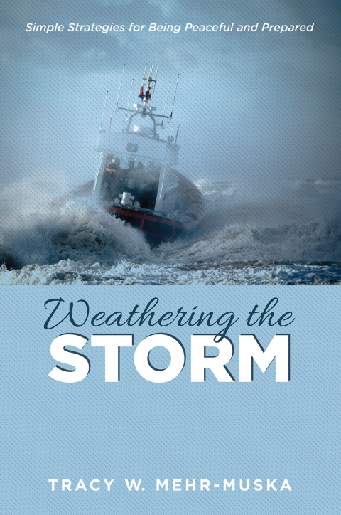 Cover image for book Weathering the Storm
