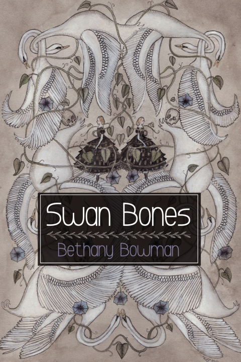 Cover image for book Swan Bones