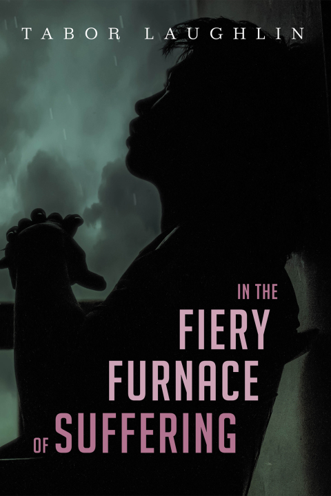 Cover image for book In the Fiery Furnace of Suffering