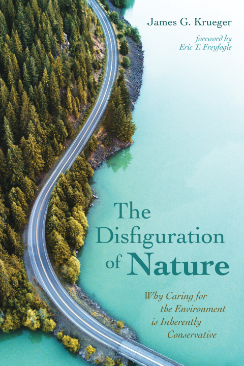 Cover image for book The Disfiguration of Nature