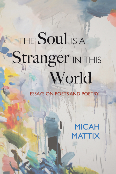 Cover image for book The Soul Is a Stranger in This World