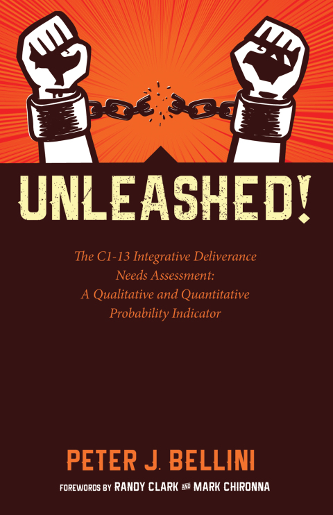 Cover image for book Unleashed