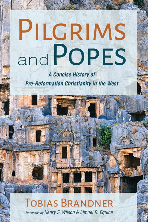 Cover image for book Pilgrims and Popes