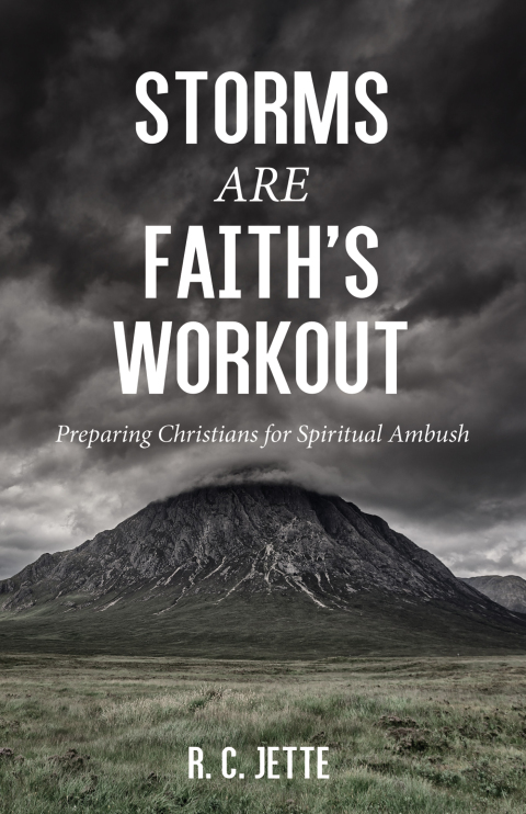 Cover image for book Storms Are Faith’s Workout
