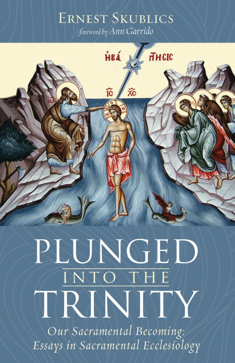 Cover image for book Plunged into the Trinity