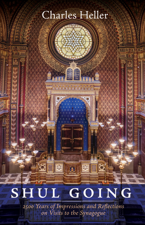 Cover image for book Shul Going