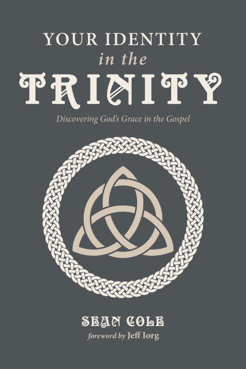 Cover image for book Your Identity in the Trinity