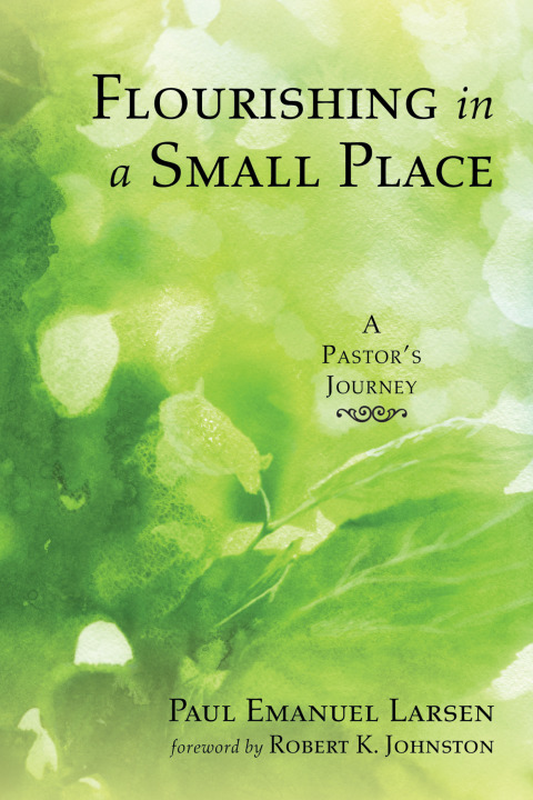 Cover image for book Flourishing in a Small Place
