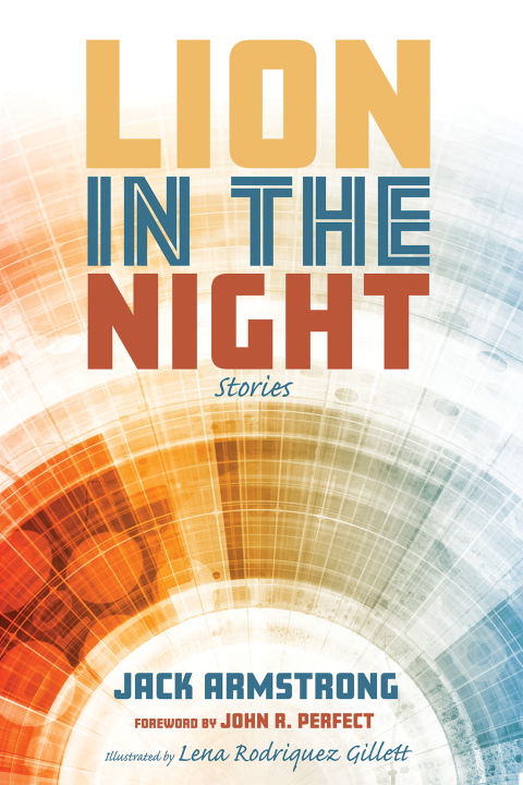 Cover image for book Lion in the Night