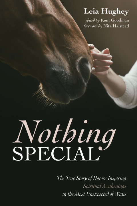 Cover image for book Nothing Special