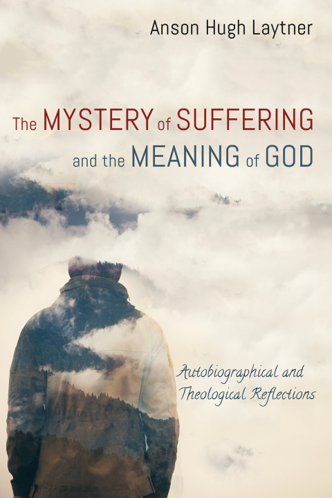 Cover image for book The Mystery of Suffering and the Meaning of God