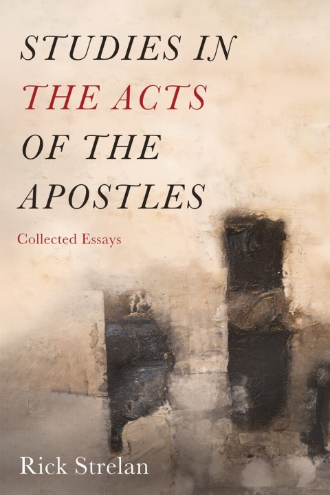 Cover image for book Studies in the Acts of the Apostles