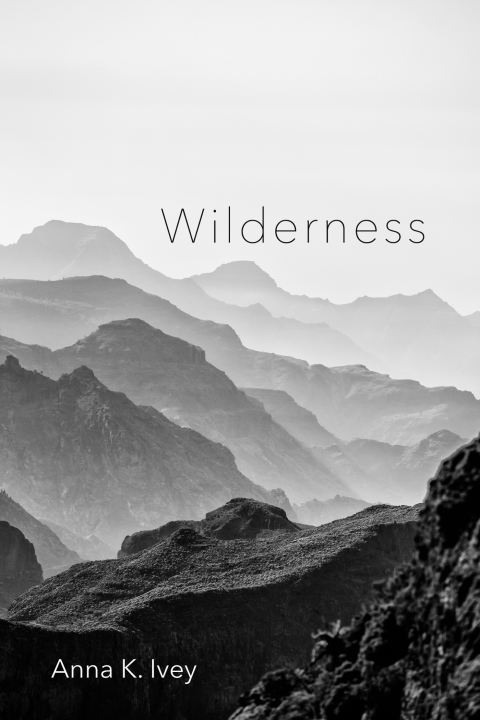 Cover image for book Wilderness