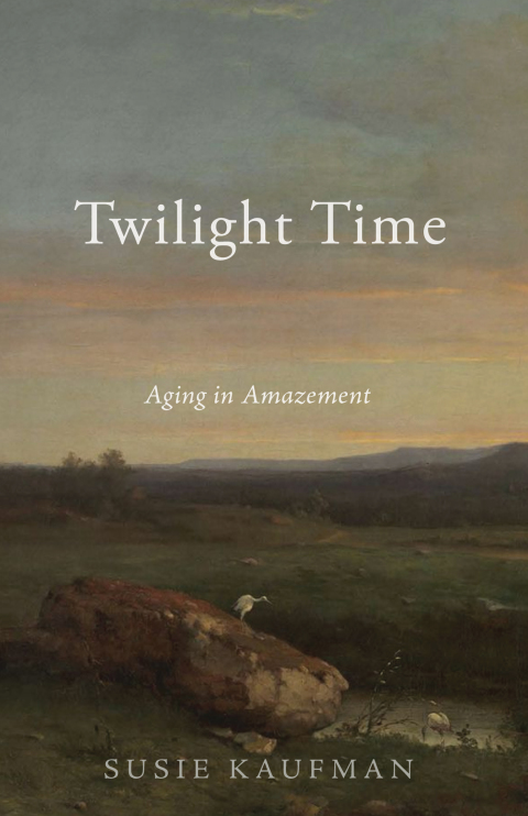 Cover image for book Twilight Time