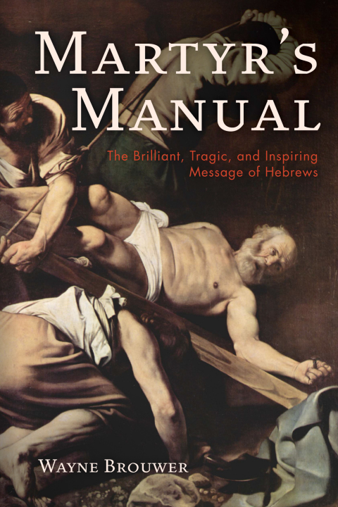 Cover image for book Martyr’s Manual