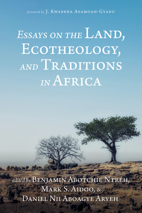 Cover image for book Essays on the Land, Ecotheology, and Traditions in Africa