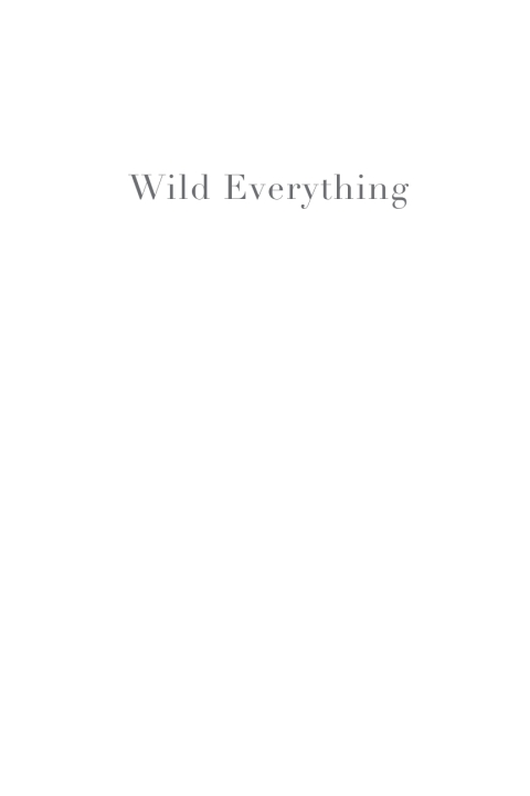 Cover image for book Wild Everything