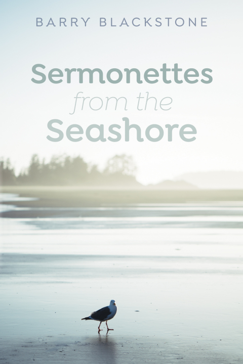 Cover image for book Sermonettes from the Seashore