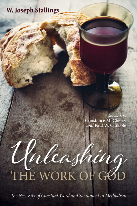 Cover image for book Unleashing the Work of God