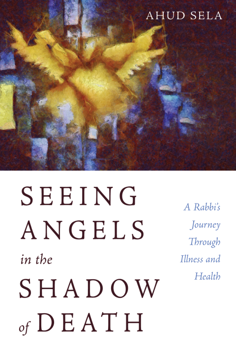 Cover image for book Seeing Angels in the Shadow of Death