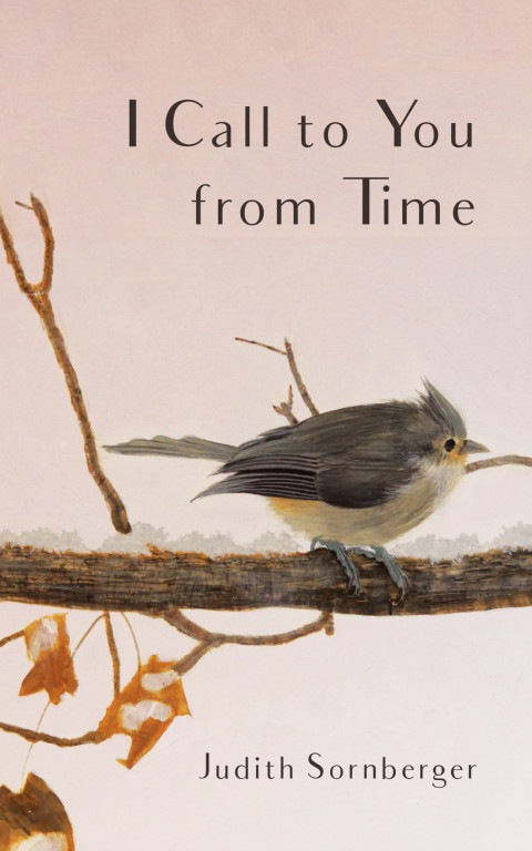 Cover image for book I Call to You from Time