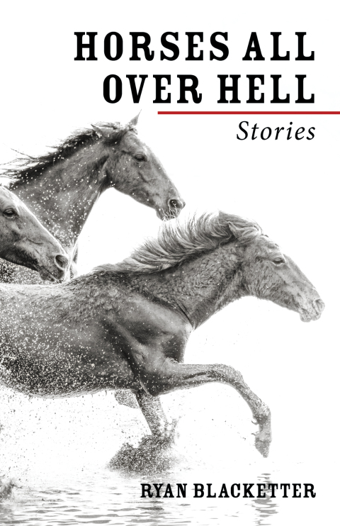 Cover image for book Horses All Over Hell
