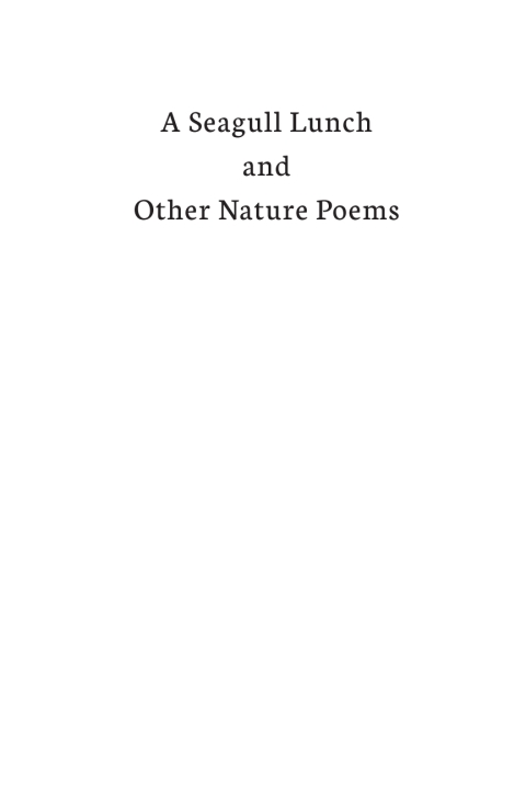 Cover image for book A Seagull Lunch and Other Nature Poems