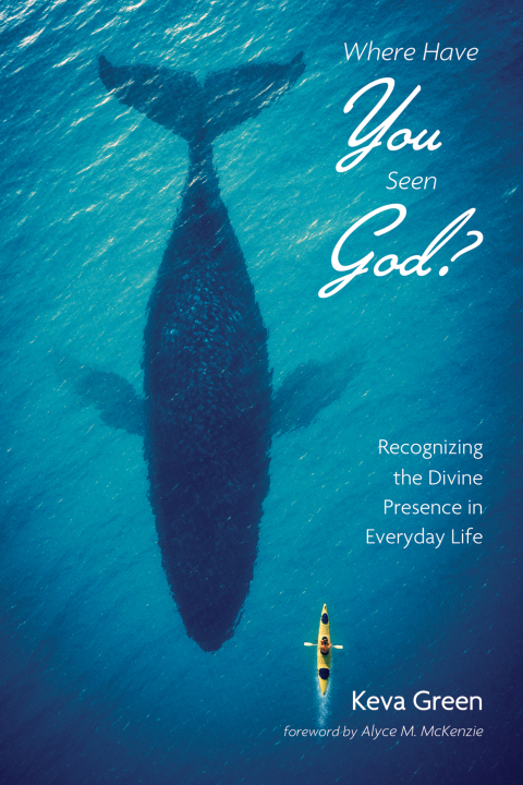 Cover image for book Where Have You Seen God?