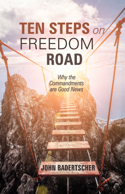 Cover image for book Ten Steps on Freedom Road