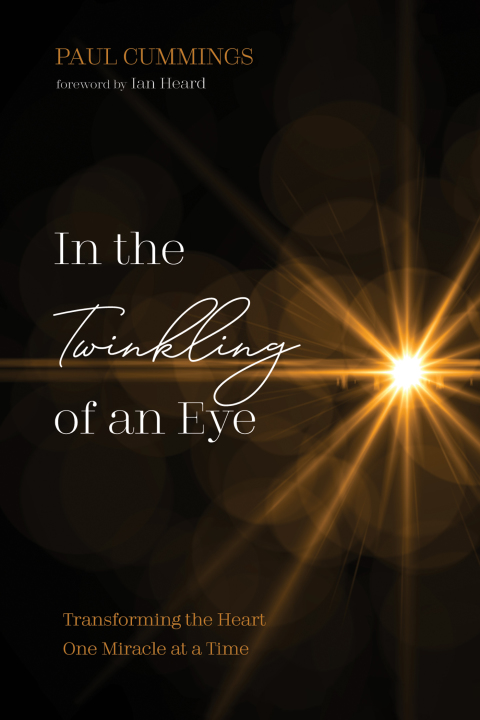 Cover image for book In the Twinkling of an Eye