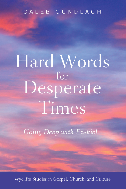 Cover image for book Hard Words for Desperate Times