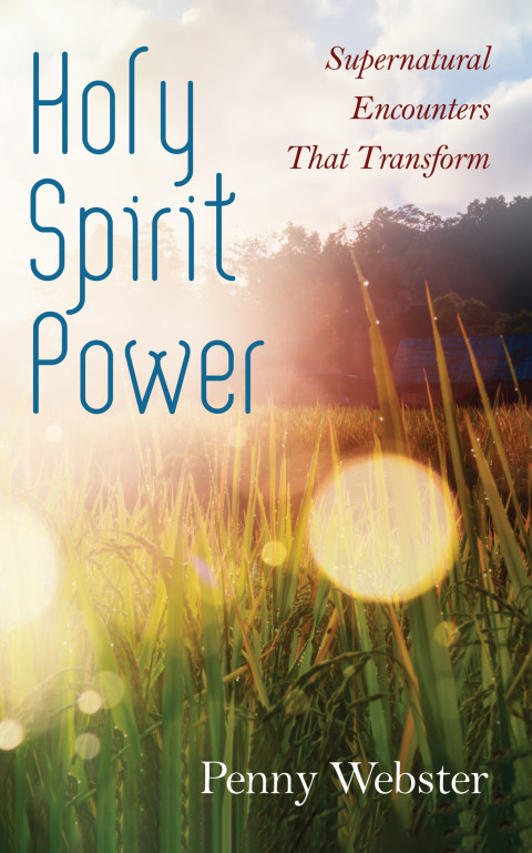 Cover image for book Holy Spirit Power