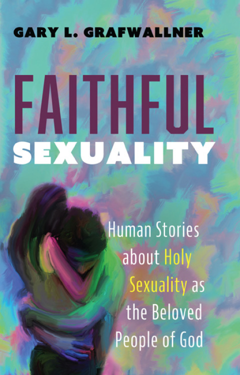 Cover image for book Faithful Sexuality