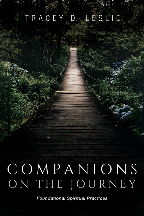 Cover image for book Companions on the Journey