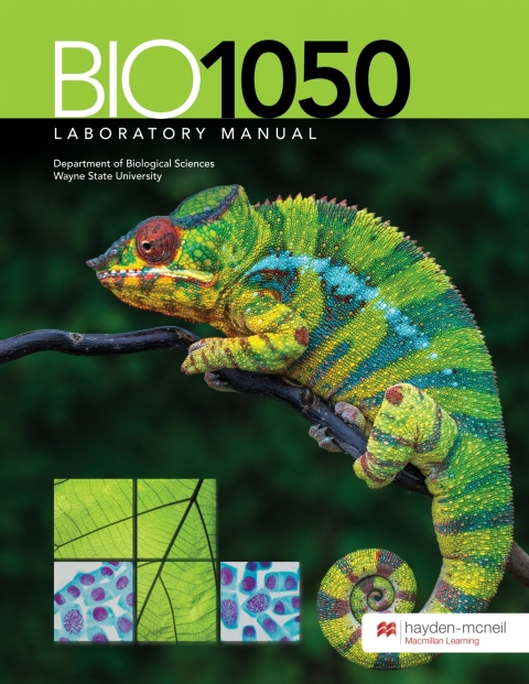 Cover image for book BIO 1050 Laboratory Manual - Wayne State University