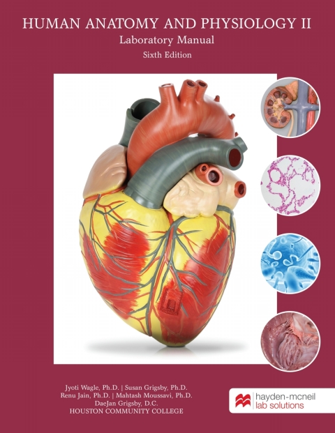 Cover image for book Human Anatomy and Physiology II Laboratory Manual