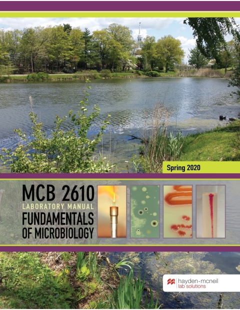 Cover image for book MCB 2610 Laboratory Manual: Fundamentals of Microbiology at University of Connecticut at Storrs