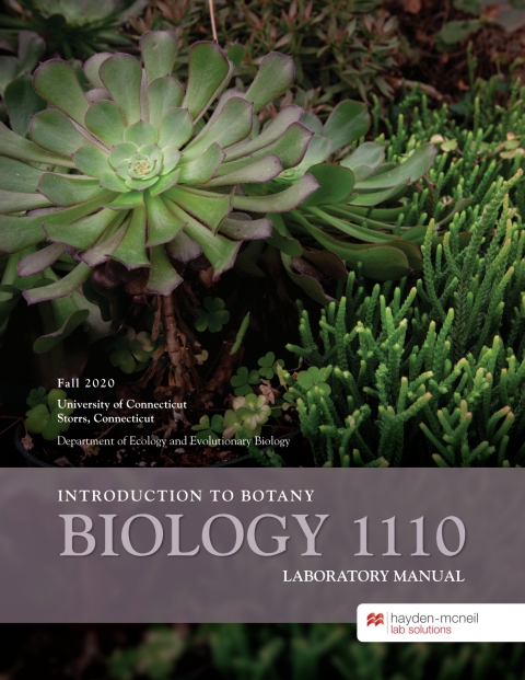 Cover image for book Biology 1110: Introduction to Botany - University of Connecticut at Storrs