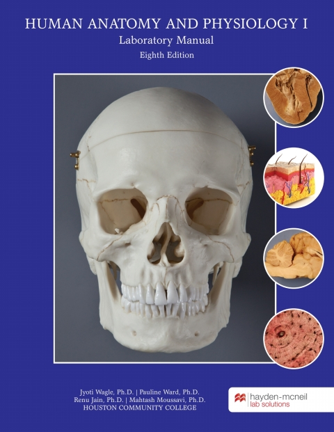 Cover image for book Human Anatomy and Physiology I Lab Manual - Houston Community College